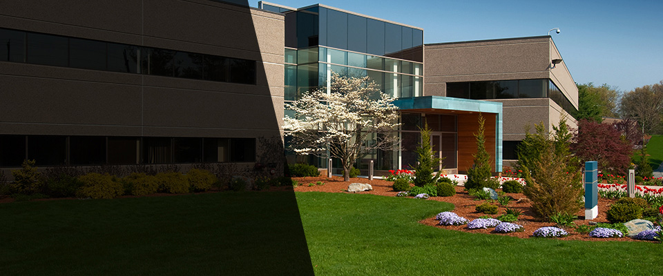 Paeonian Springs Landscapers