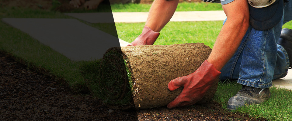 Paeonian Springs Landscapers